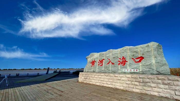 △黃河入?？谖挥谏綎|東營(yíng)市墾利區(qū)。(總臺(tái)央視記者彭漢明拍攝)