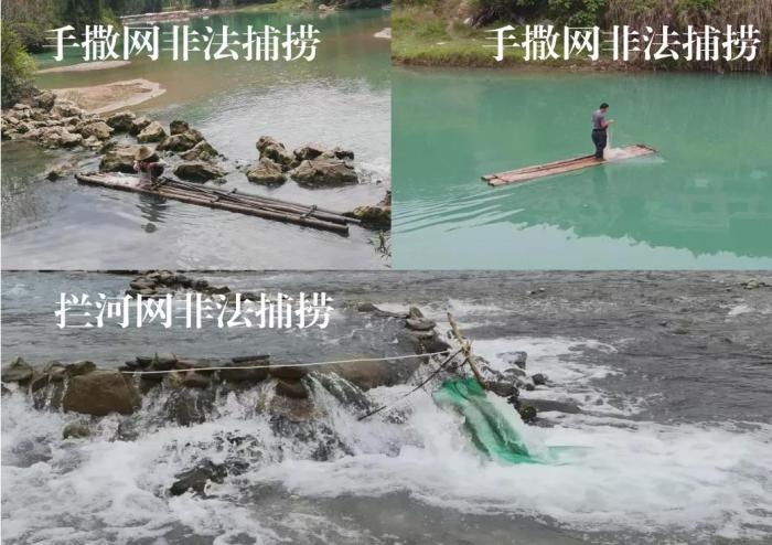 2021年9—10月，前期暗查發(fā)現(xiàn)，保護(hù)區(qū)核心區(qū)內(nèi)非法捕撈行為十分猖獗