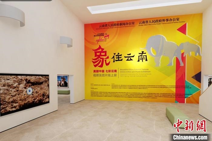 圖為“象”往云南——美麗中國 七彩云南視頻及圖片線上展截圖。　胡遠(yuǎn)航 攝