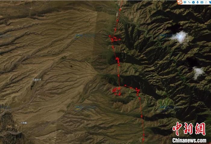 圖為雪豹故地重游來到放歸地的足跡。　內(nèi)蒙古賀蘭山國家級(jí)自然保護(hù)區(qū)供圖