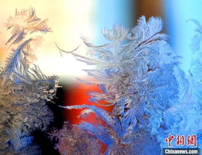 冰窗花千姿百態(tài)?！O書程 攝