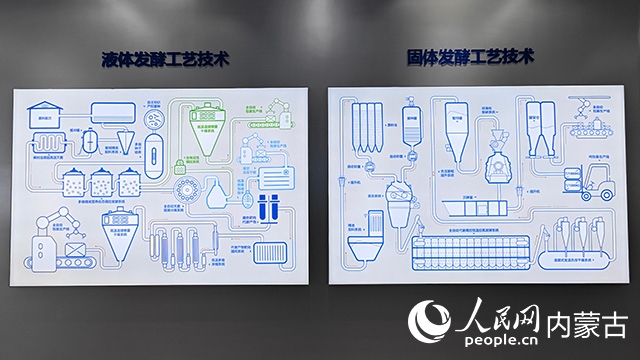 科拓生物工藝技術(shù)展示。人民網(wǎng)記者 張雪冬攝