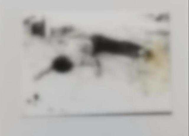 1608718689426224.jpeg 0b46f21fbe096b636620e98160bb4f43eaf8acb2.jpeg