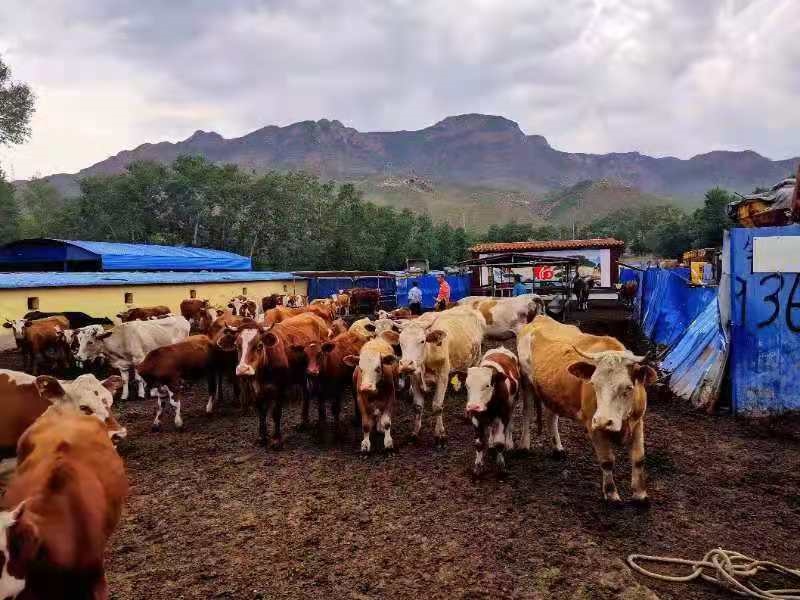 1615871990620697.jpg 微信圖片_20210316131759.jpg