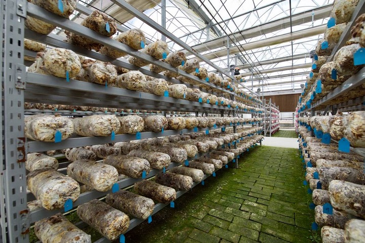 1630052894358844.png 圖片3.png