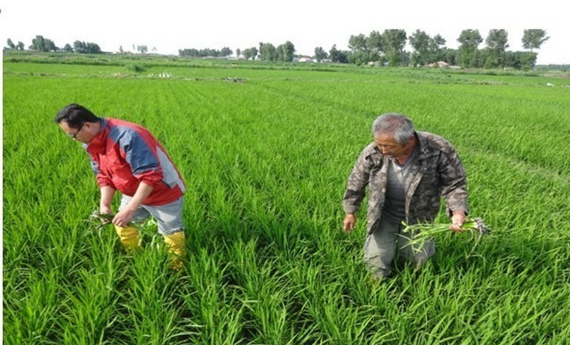 1646558968109830.jpg 微信圖片_20220306172634.jpg