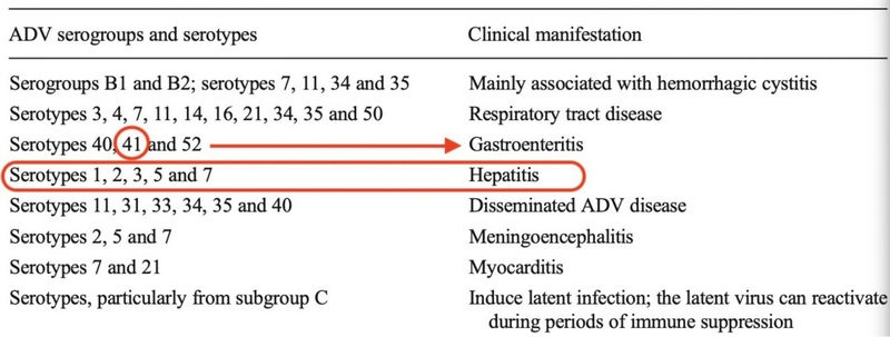 1652667865122304.jpeg 0c278580d62c1e5b4982e9db41732bd0_副本.jpeg