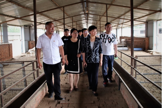 1655301752122550.png b5b501c40bfa402eb81ae1599169ef19621.png