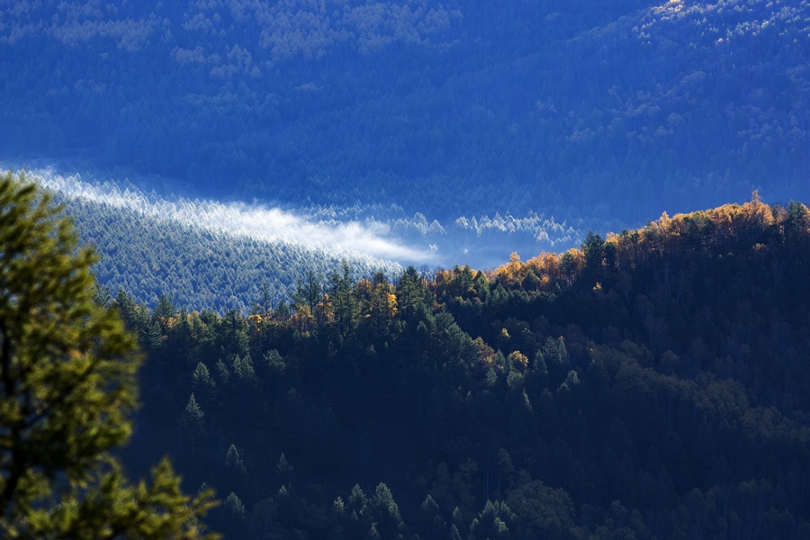 1667390992634073.jpg 01.jpg