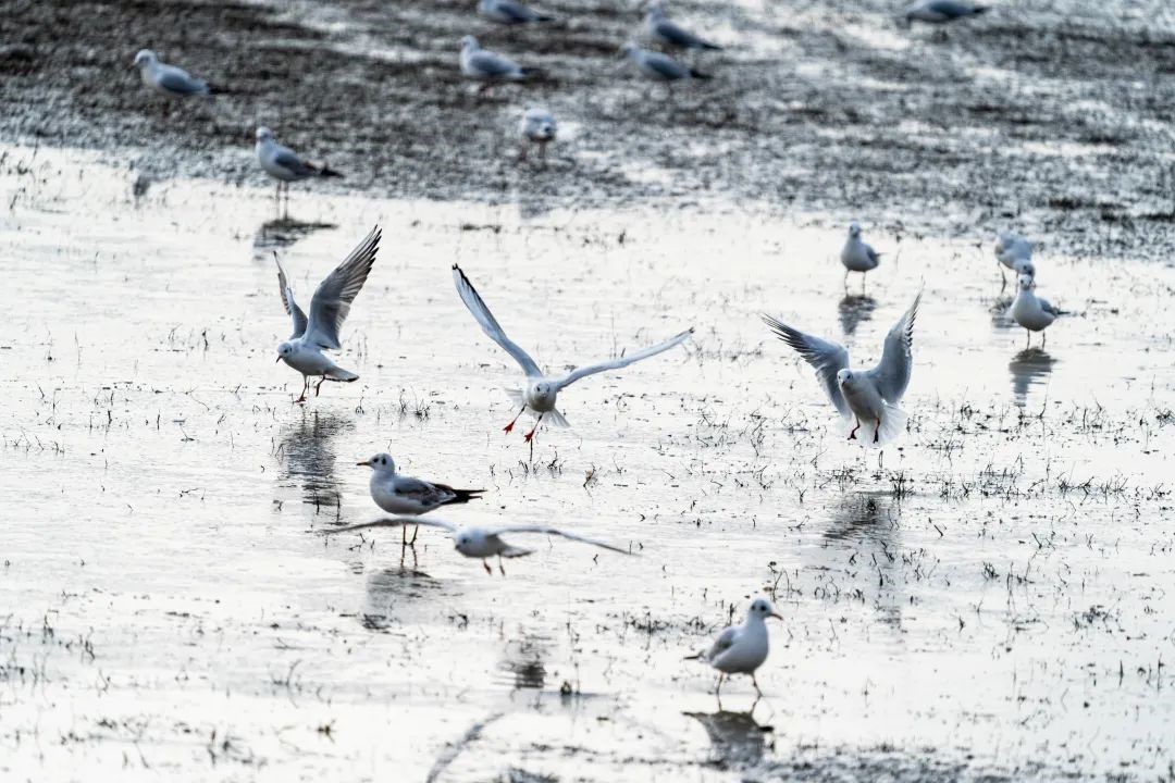 1667657925133230.jpg 微信圖片_20221105221440.jpg