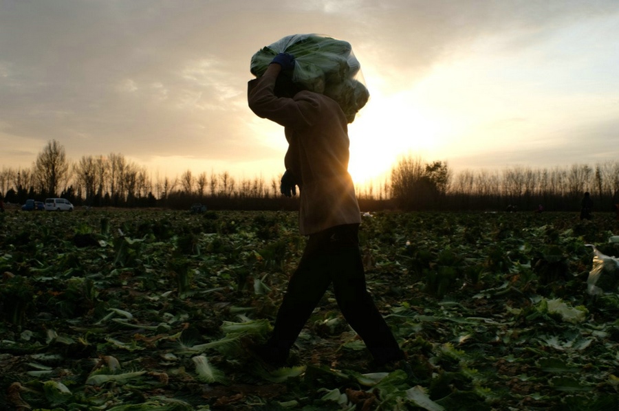 1667662593111964.jpg 微信圖片_20221105231441.jpg