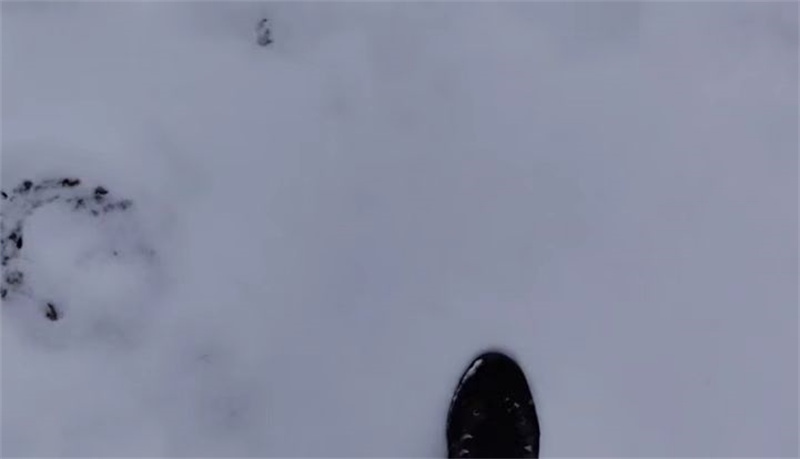 1676633446182454.jpg 微信圖片_20230217192945.jpg