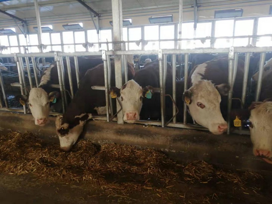 1698118894306386.png 5.png