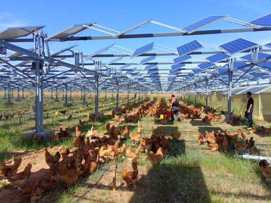 1701496571348600.png 蒙西基地200萬千瓦光伏治沙項目并網1202740.png