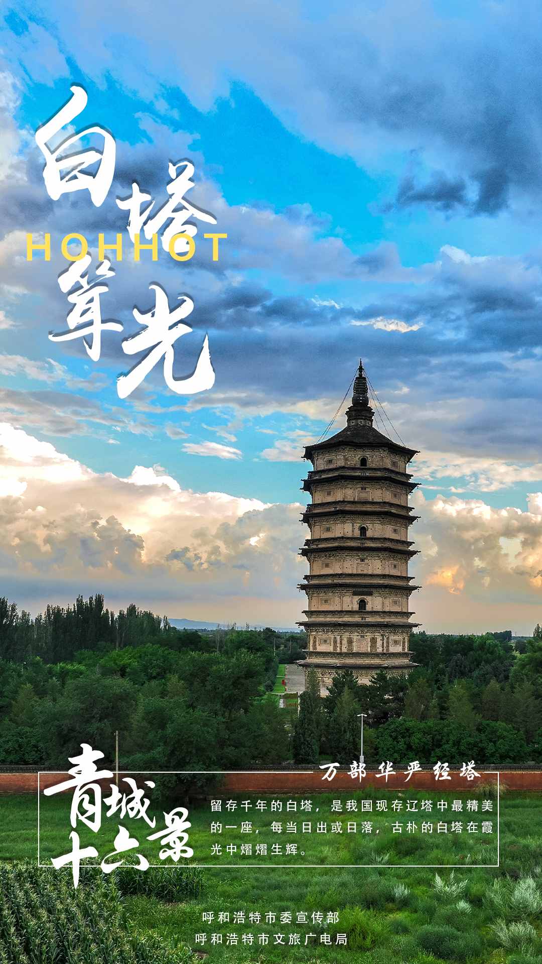 1703237914876342.jpg 3.jpg