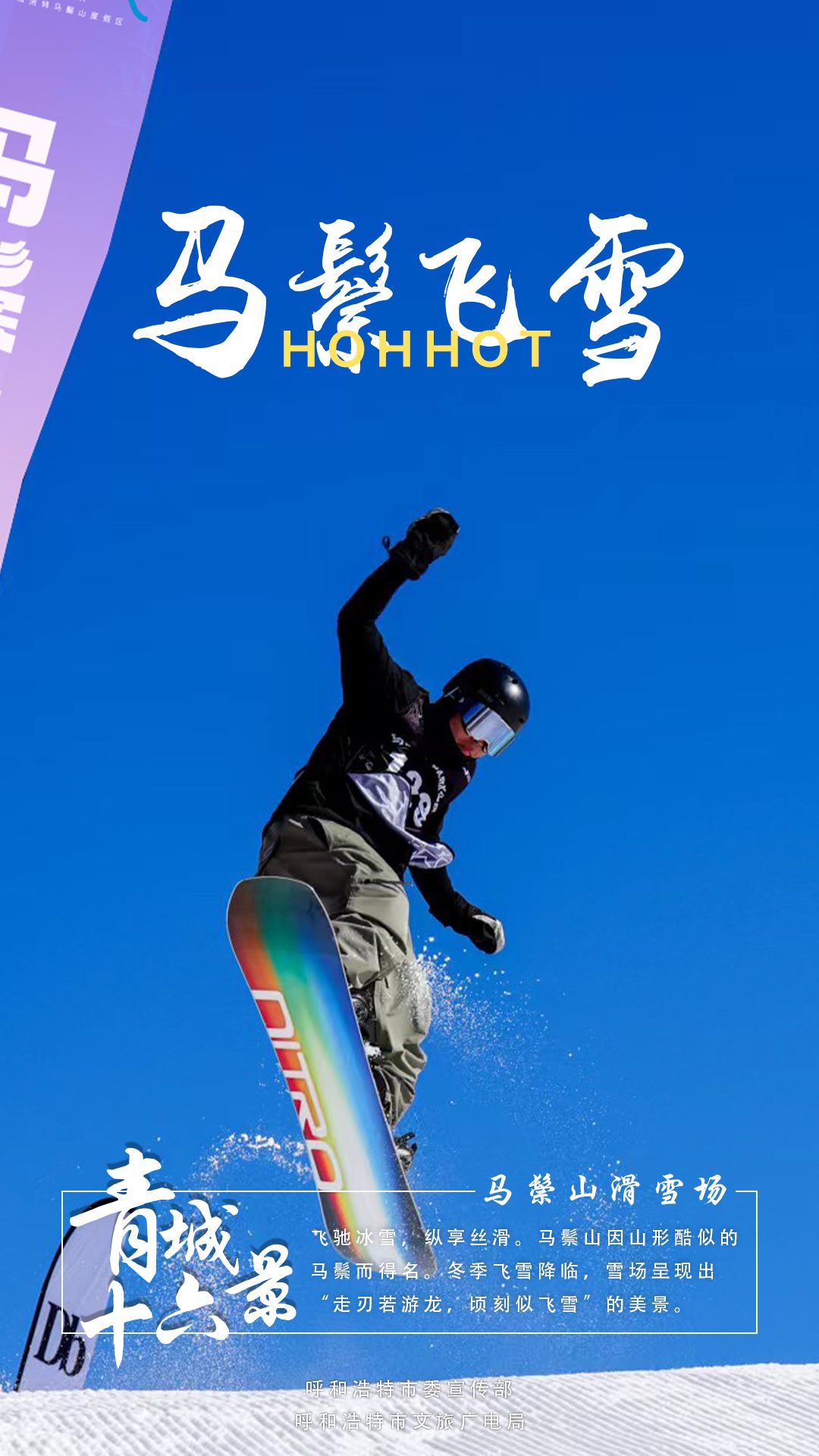 1703238209162444.jpg 15.jpg