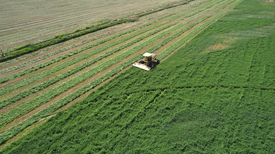 1716886111758779.jpg 1市醫(yī)院.jpg