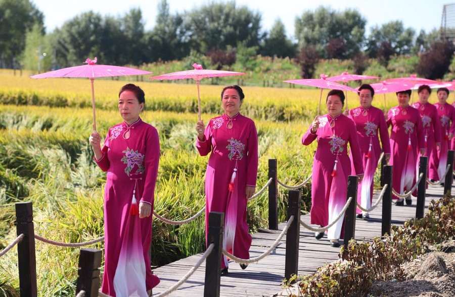 1726934606214556.png 圖片8.png