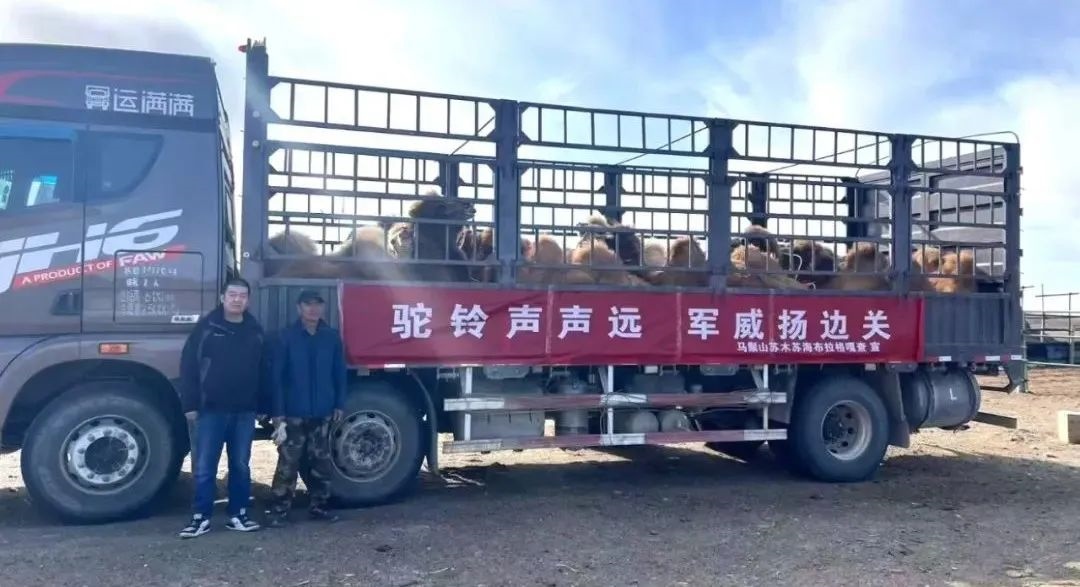 1732793603135076.jpeg 640-1.jpeg