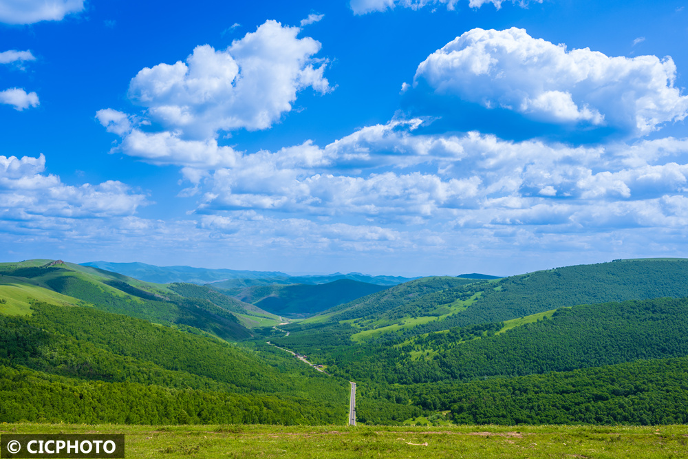 1751701695106439.jpg 1751701695106439.jpg