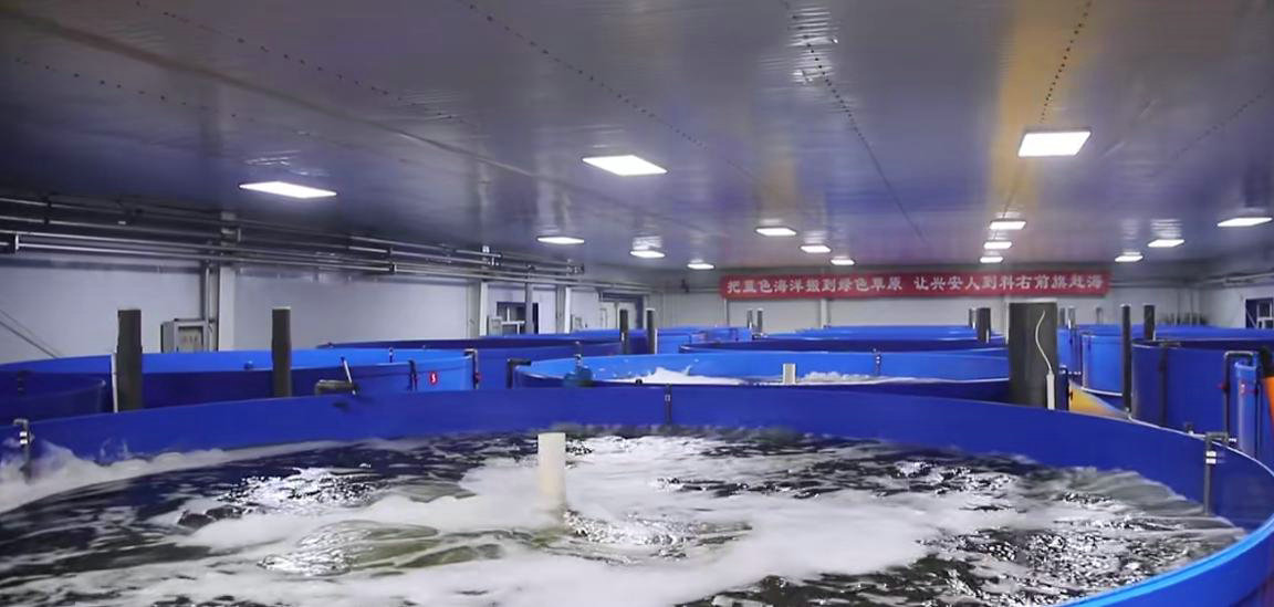 1752025516883528.jpg 海鮮1.jpg