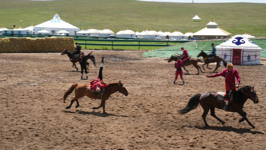 1752831964843250.jpg 20250718173720.jpg