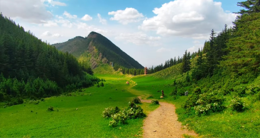 1753588009134121.png 阿拉善3.png