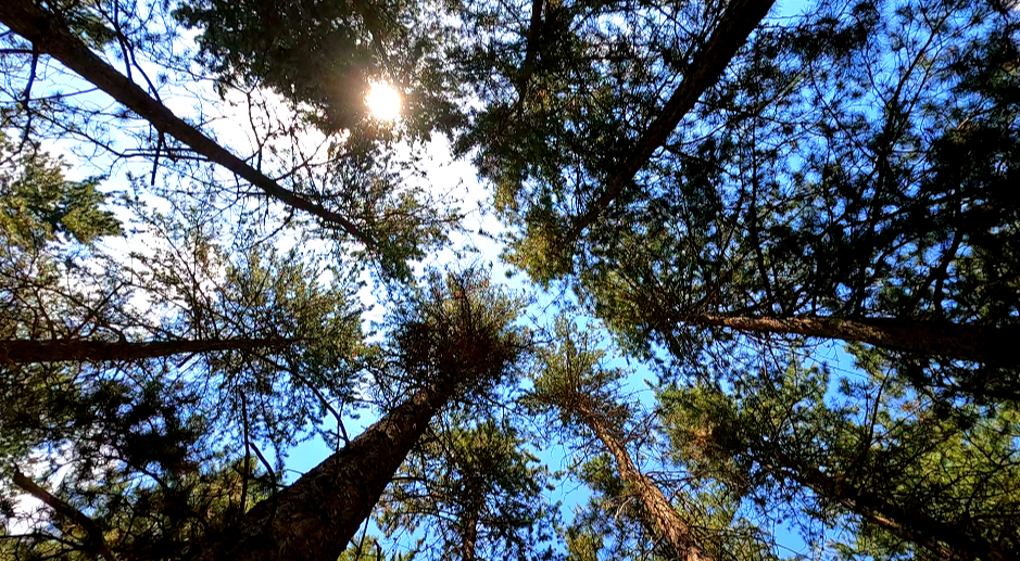 1753588181615354.png 阿拉善10.png