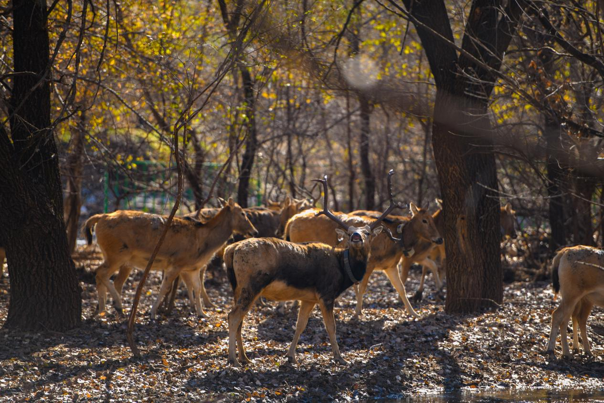 1761634761589535.png 圖片3.png