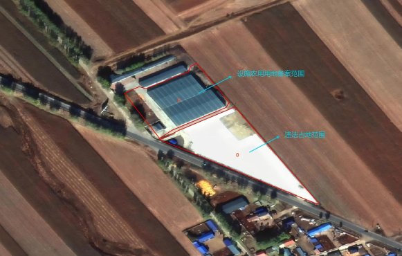 1769226538128949.jpg 030.jpg