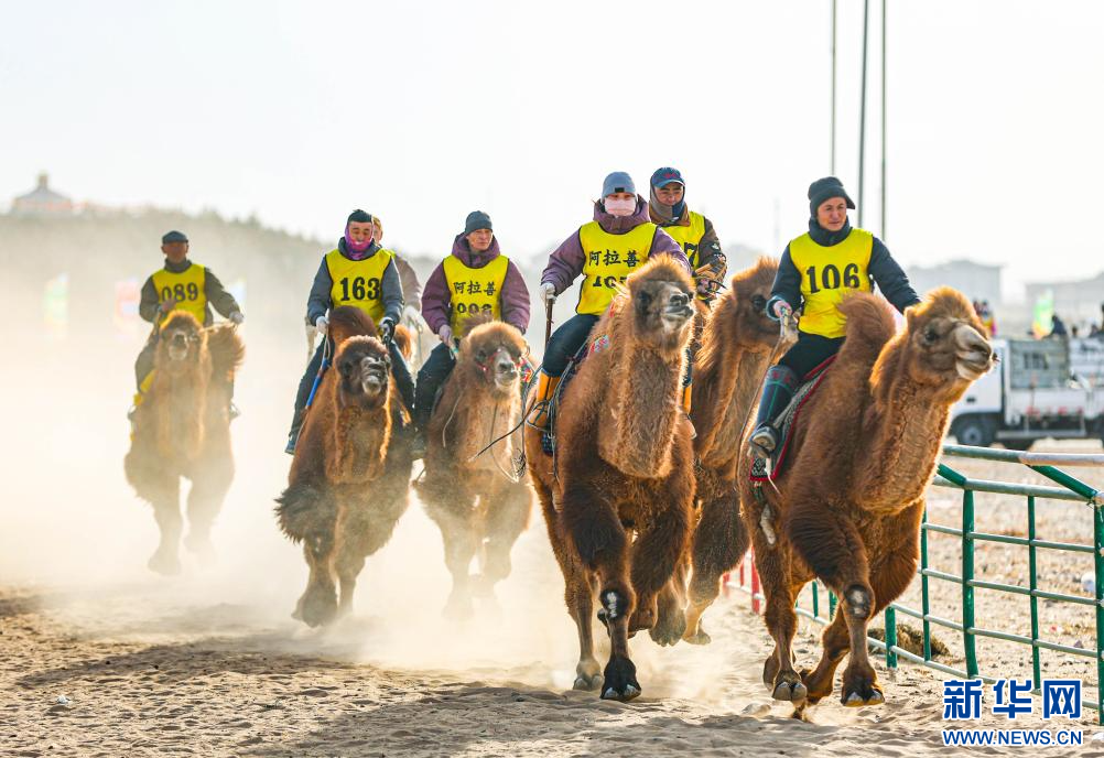 3月7日，賽駝手在6000米成年駱駝場(chǎng)地速度賽比賽中。.jpg