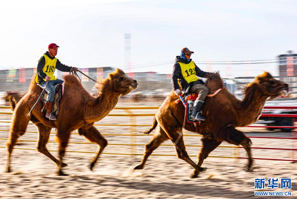 3月7日，賽駝手在6000米成年駱駝場(chǎng)地速度賽比賽中.jpg