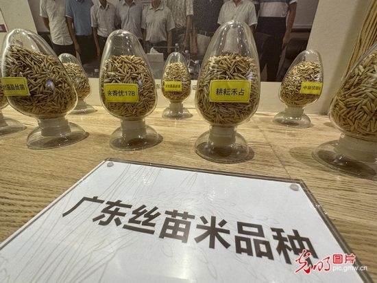 【高質量發(fā)展看中國】5G智慧農(nóng)業(yè) 種出高質量好味“稻”