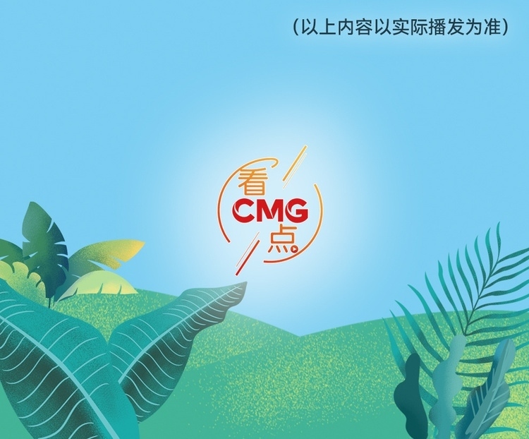 總臺周看點，來了！