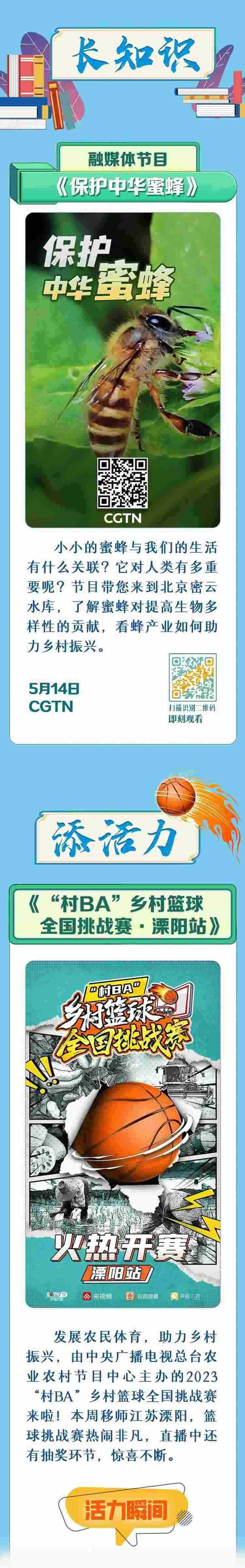 總臺周看點，來了！