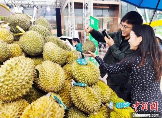 圖為廣西南寧市民在選購榴蓮。黃艷梅 攝