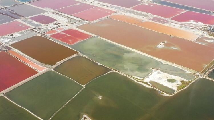 鑒往知來，跟著總書記學(xué)歷史丨走進(jìn)一座博物館，尋根五千年中華文明