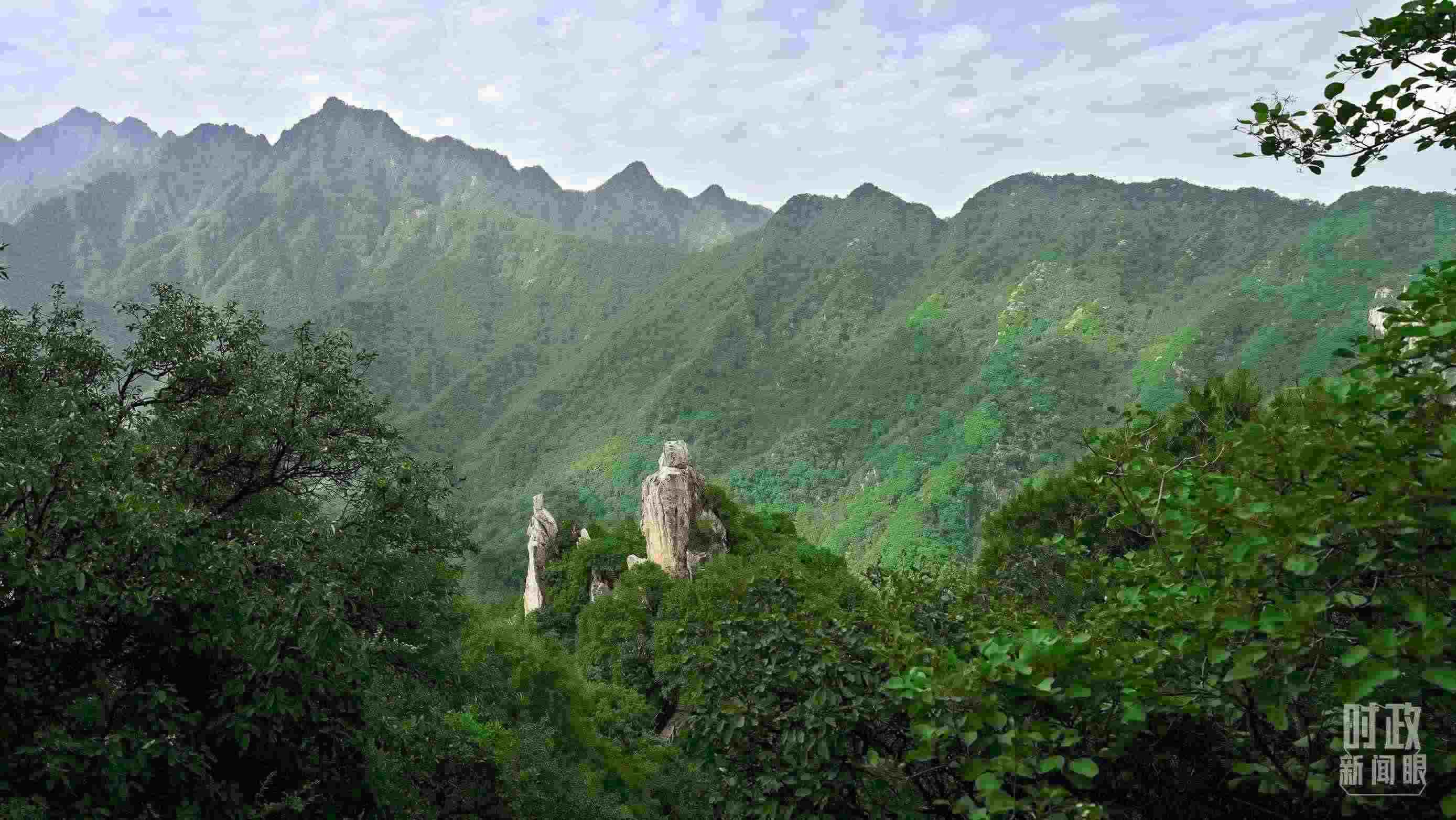 △秦嶺。（圖／視覺中國）