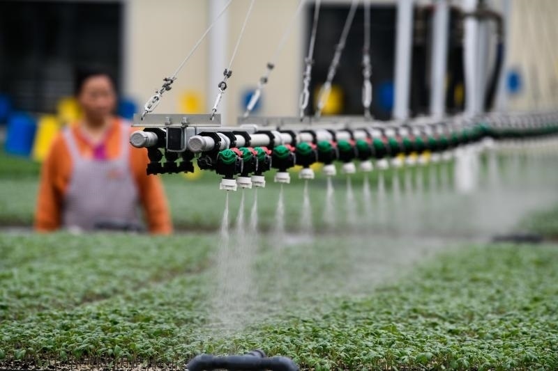 工人在貴陽(yáng)市開(kāi)陽(yáng)縣楠木渡蔬菜良種繁育中心查看自動(dòng)噴灌系統(tǒng)給辣椒苗澆水情況（2023年5月24日攝）。新華社記者 楊文斌 攝