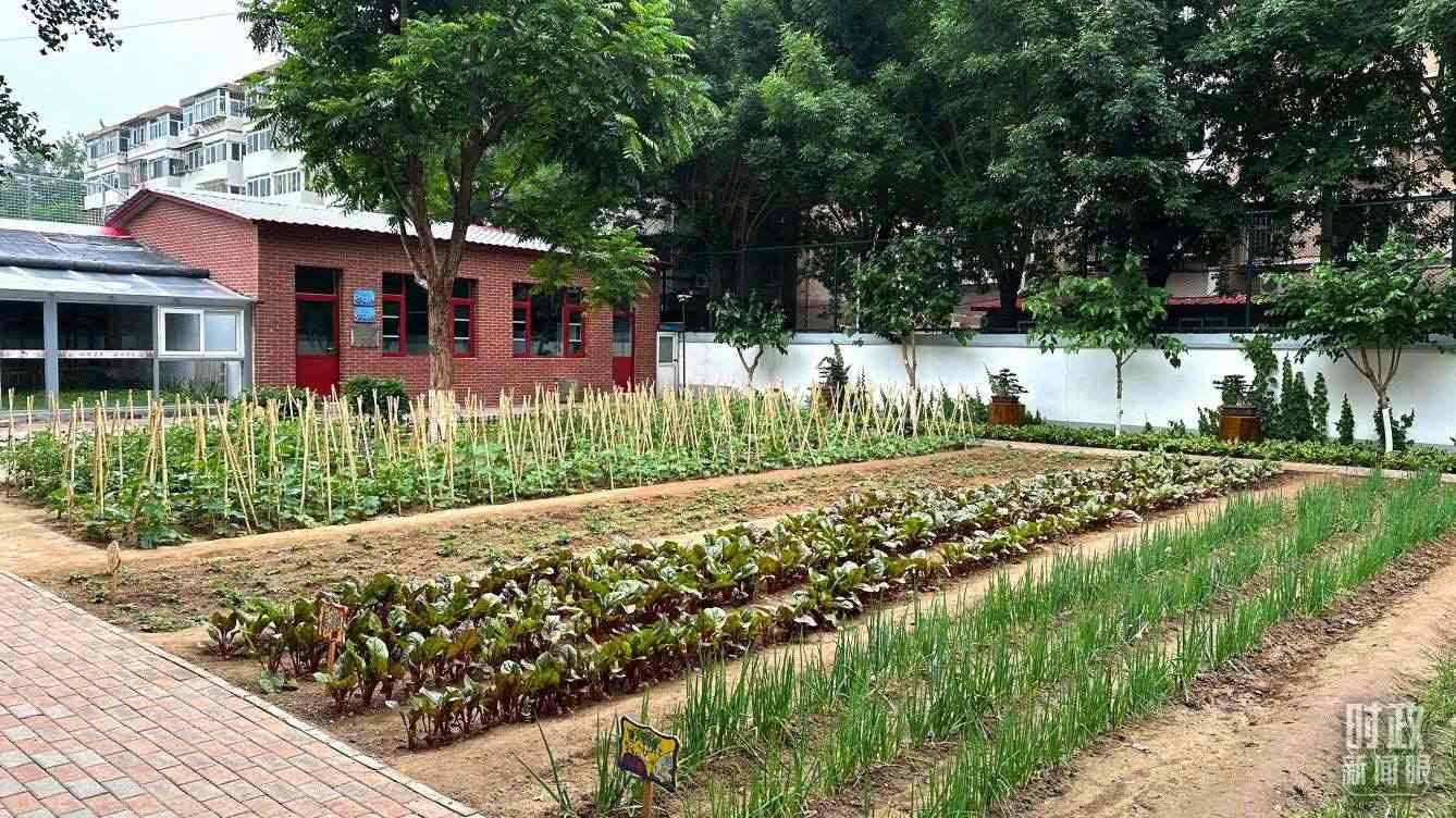 △學生農(nóng)場。（總臺央視記者趙化拍攝）