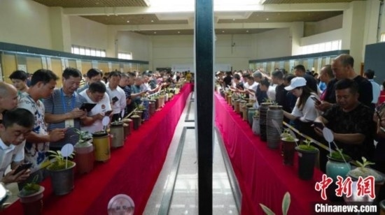 圖為活動現(xiàn)場。 云南省委臺辦供圖