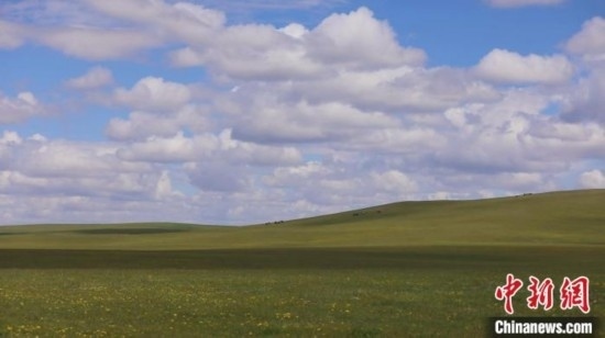 圖為點點新綠在原野上蓄勢待發(fā)。 歐戈 攝