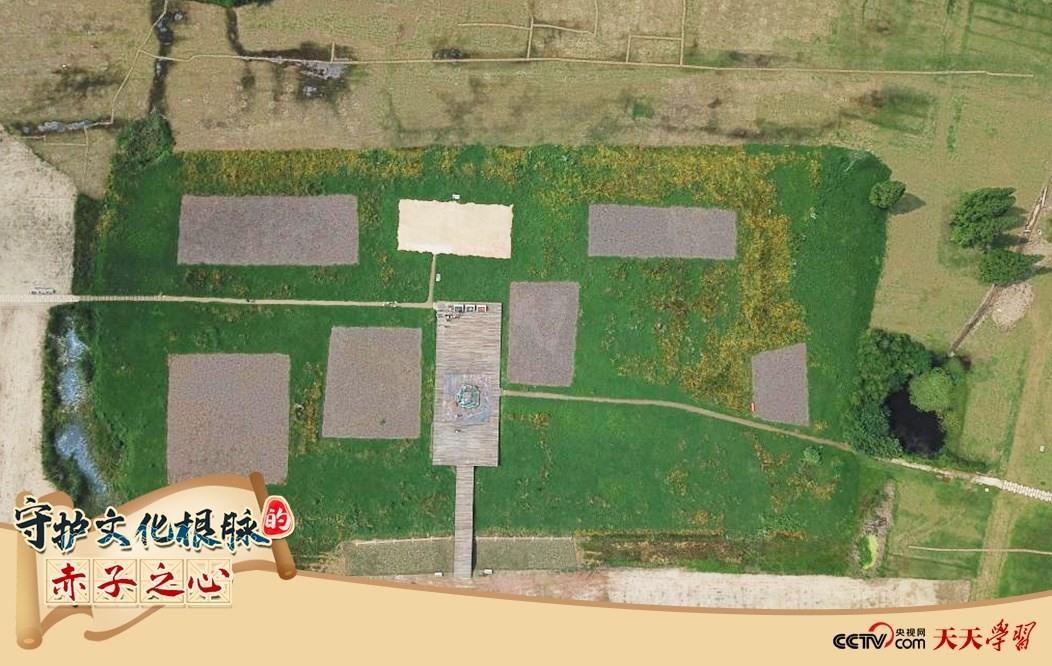 2019年6月23日無人機拍攝的良渚國家考古遺址公園的宮殿區(qū)。