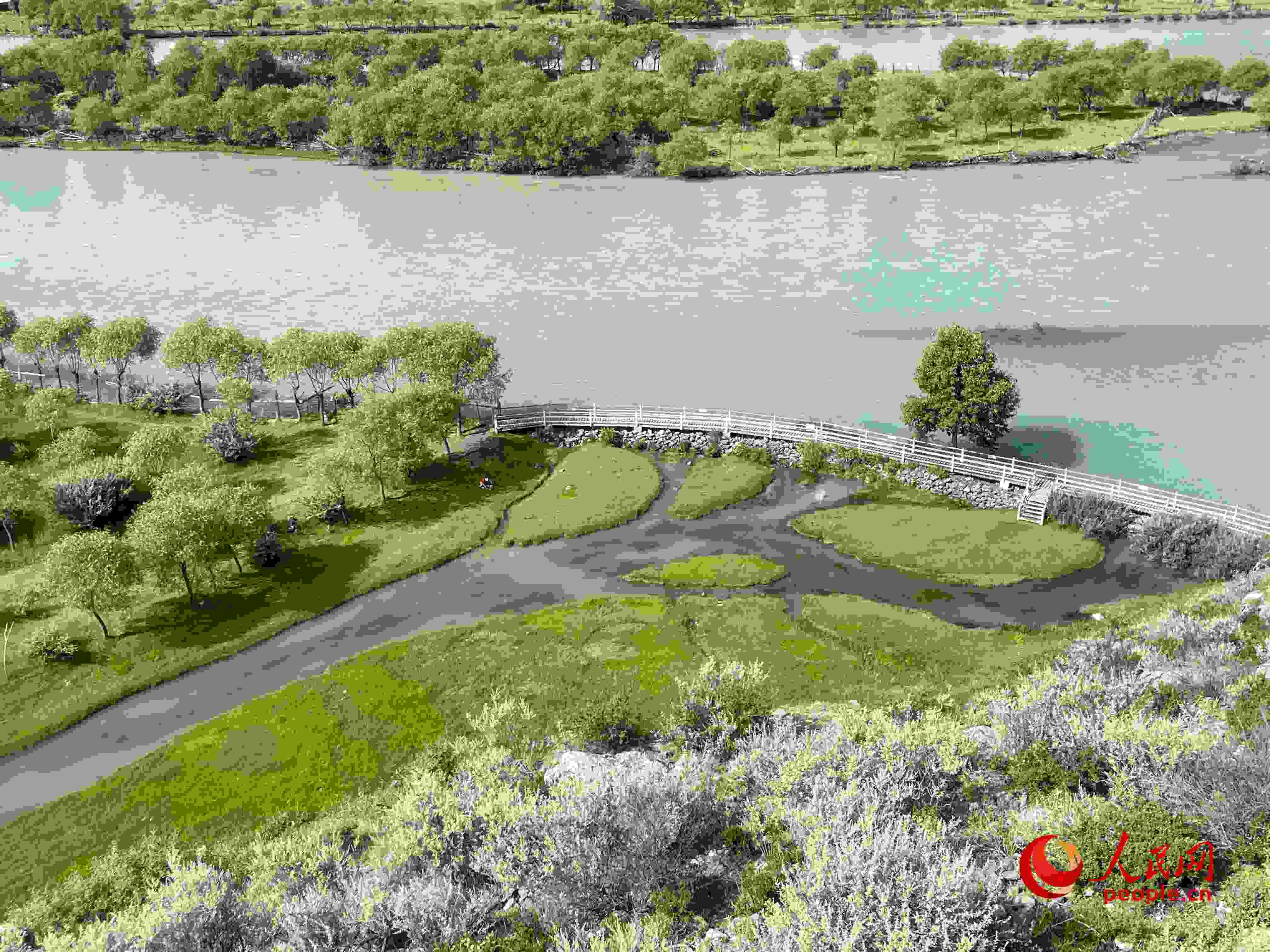 夏日的雅尼國(guó)家濕地公園生機(jī)盎然，如詩(shī)如畫。人民網(wǎng) 周靜圓攝