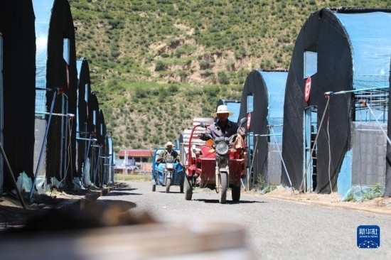 7月29日，農(nóng)戶在卓尼縣納浪鎮(zhèn)納浪村黑木耳種植基地勞作。