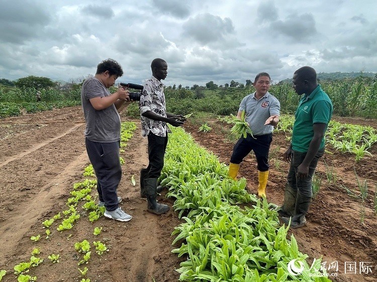 人民網(wǎng)記者走進尼日利亞農(nóng)業(yè)技術(shù)示范中心。人民網(wǎng)記者 趙艷紅攝