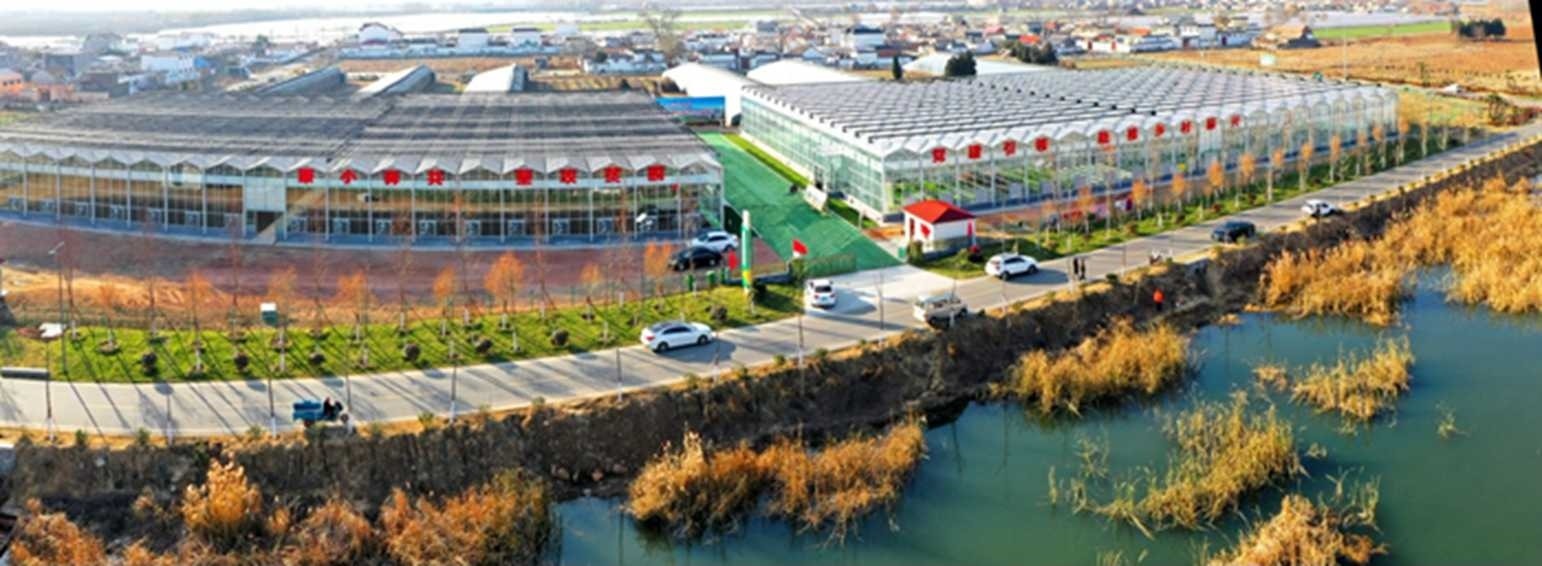 白樓灣三產(chǎn)融合發(fā)展。宋道森攝