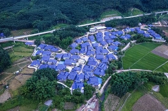 磨憨鎮(zhèn)曼莊村大龍哈小組現(xiàn)代化邊境幸福村新貌。人民網(wǎng)記者 符皓攝