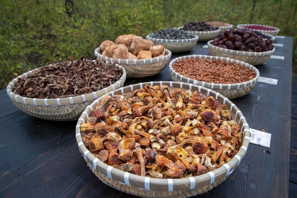 △近日，漠河市北極村一景區(qū)展示的林下產(chǎn)品。