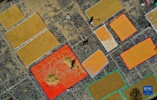 9月16日，貴州省黔東南苗族侗族自治州丹寨縣南皋鄉(xiāng)石橋村村民在晾曬農(nóng)作物（無人機照片）。
